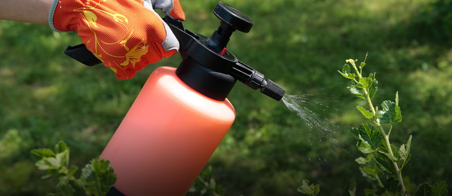 Organic insect spray