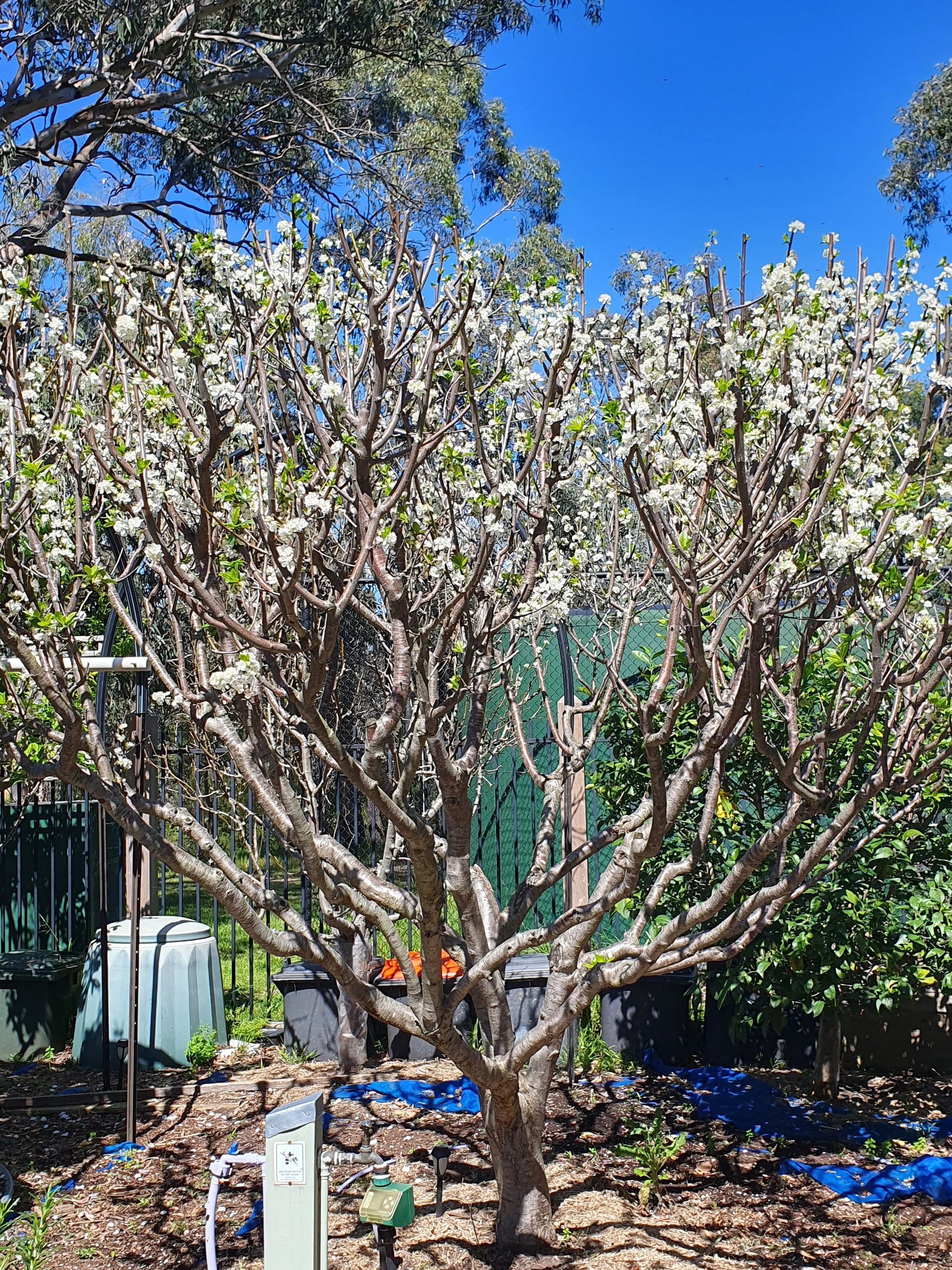 Spring Has Sprung!