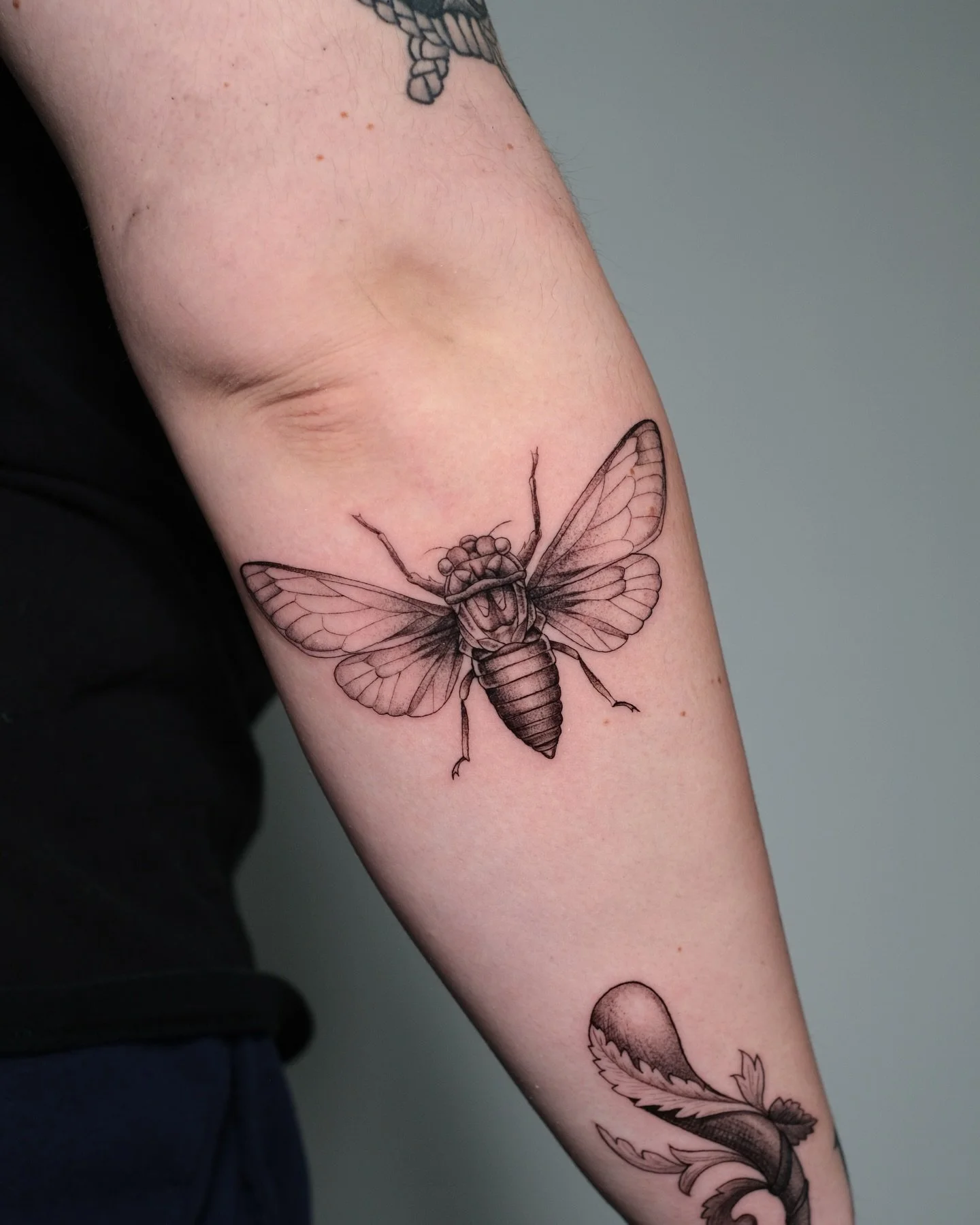 🔶By @miguelameliach 
📧 : rdv@atlastattoo.lu⁣⁣
📲 WhatsApp +352 621 596 637
📨 : DM Instagram / Facebook⁣⁣
📍 : 54 Bd Grande-Duchesse Charlotte, Luxembourg

#atlastattoolu #tattooluxembourg #luxembourg #luxembourgcity #luxembourgtattoo tattoo