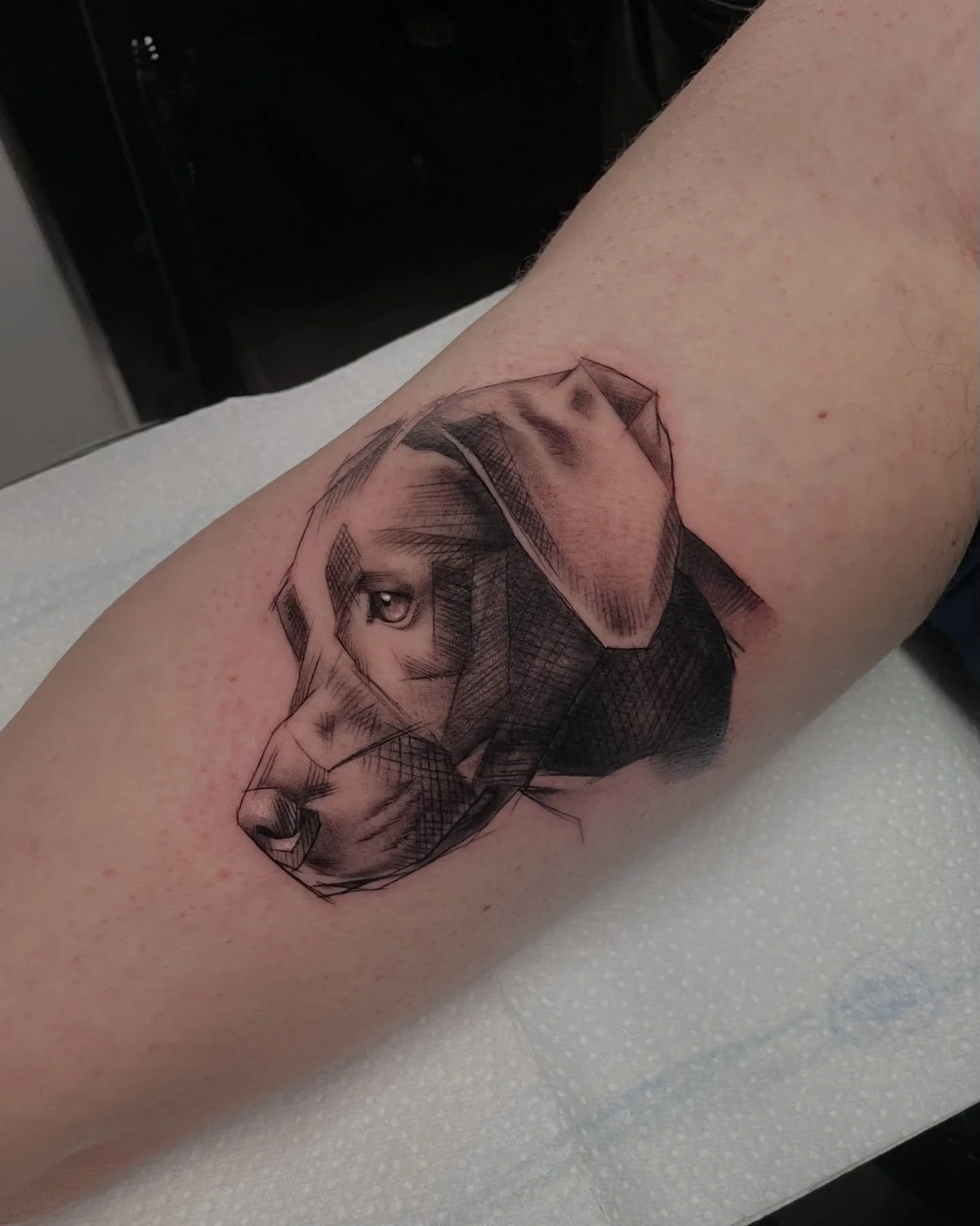 Dog Portrait , Sketch style 🐶
🔸by: @miguelameliach 
📧 : rdv@atlastattoo.lu⁣⁣
📲 WhatsApp +352 621 596 637
📨 : DM Instagram / Facebook⁣⁣
📍 : 54 Bd Grande-Duchesse Charlotte, Luxembourg

#atlastattoolu #tattooluxembourg #luxembourg #luxembourgcity
