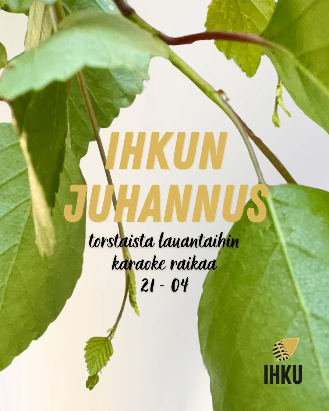IHKU - juhannus feed  (1).jpg