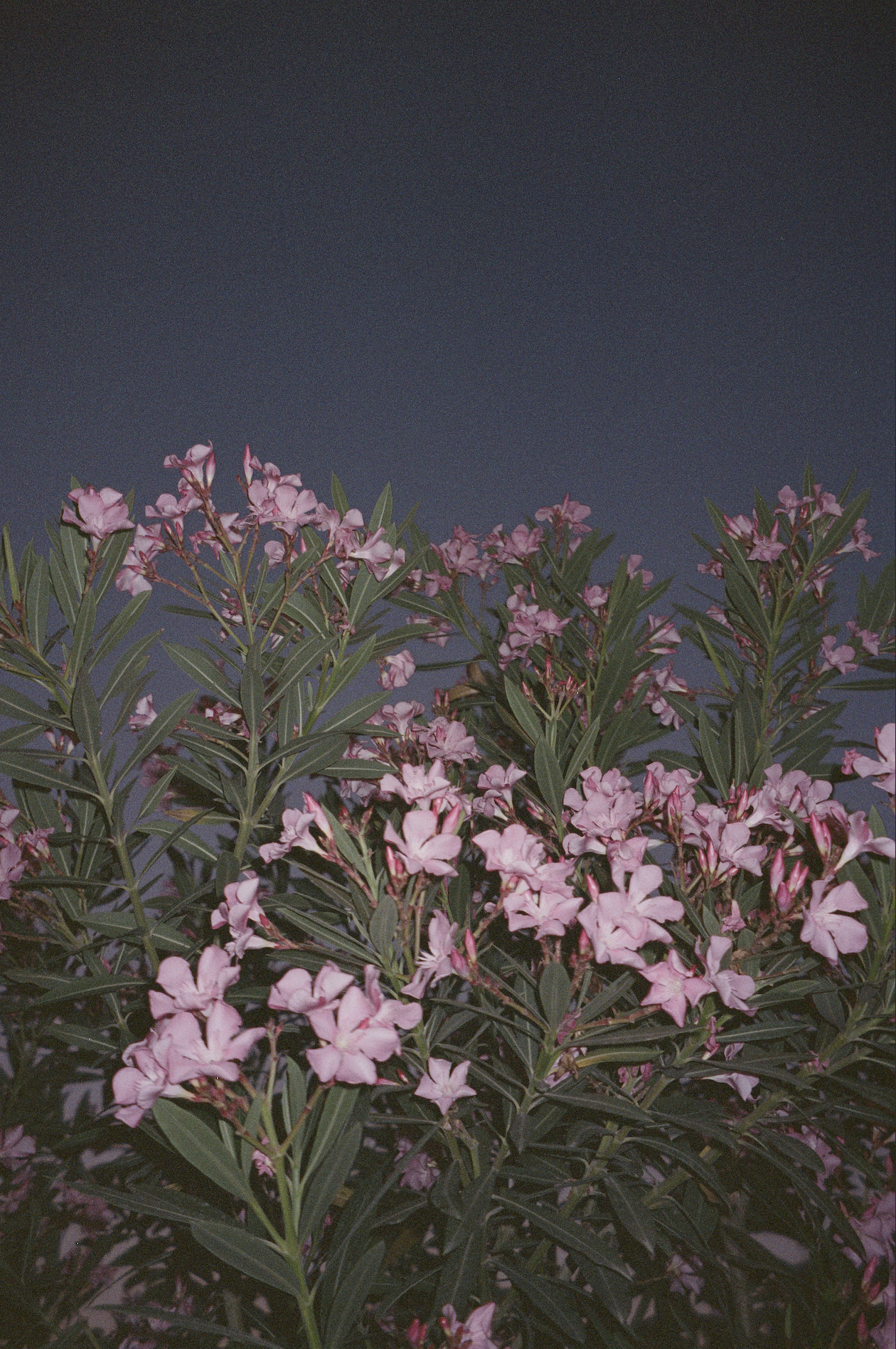 Screenshot 2025-11-12 at 4.55.00 PM.png