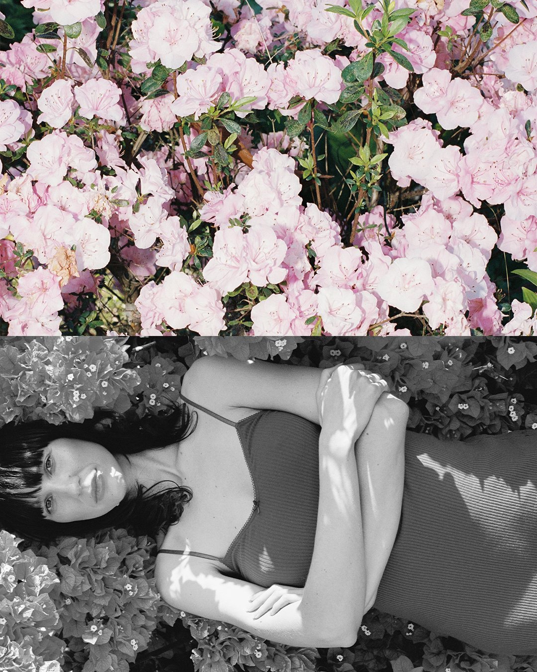 izzy IGArtboard 22.jpg