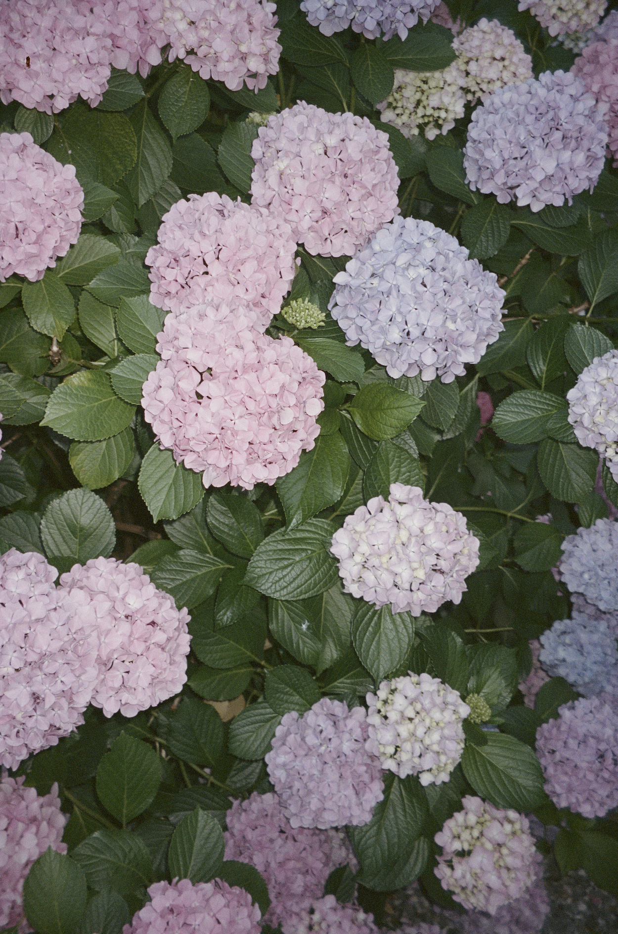 Screenshot 2025-11-12 at 4.55.52 PM.png