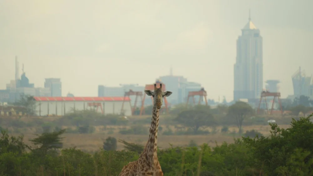 WhatsApp Image 2022-09-20 at 13.23.55.jpeg