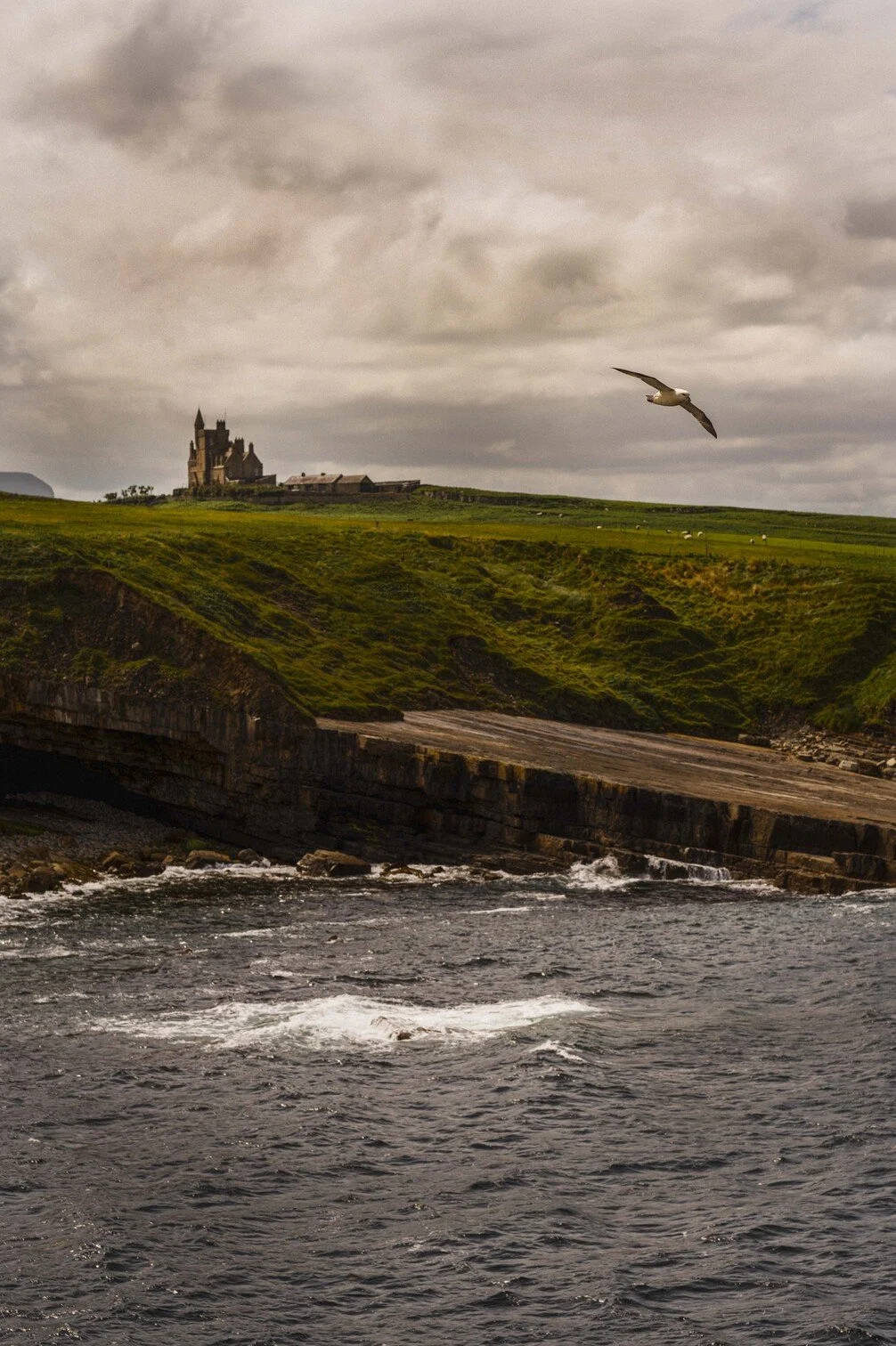 Kasteel op een heuvel met een zee en een meeuw die vliegt, onder een bewolkte lucht gefotografeerd door Eric van den Elsen.