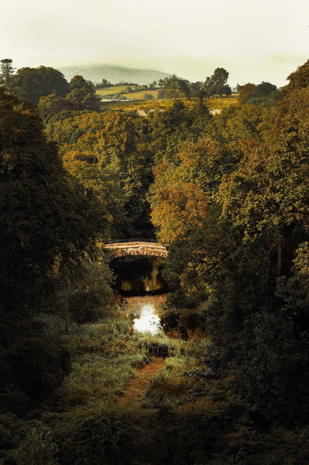 Een bos met een brug over een kabbelend beekje, omgeven door herfstkleuren en heuvels op de achtergrond gefotografeerd door Eric van den Elsen.