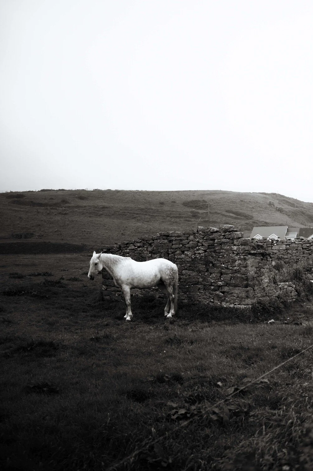 Een wit paard staat naast een stenen muur in een landelijke omgeving, met heuvels en huizen op de achtergrond onder een grijze hemel gefotografeerd door Eric van den Elsen voor Vogue Living.