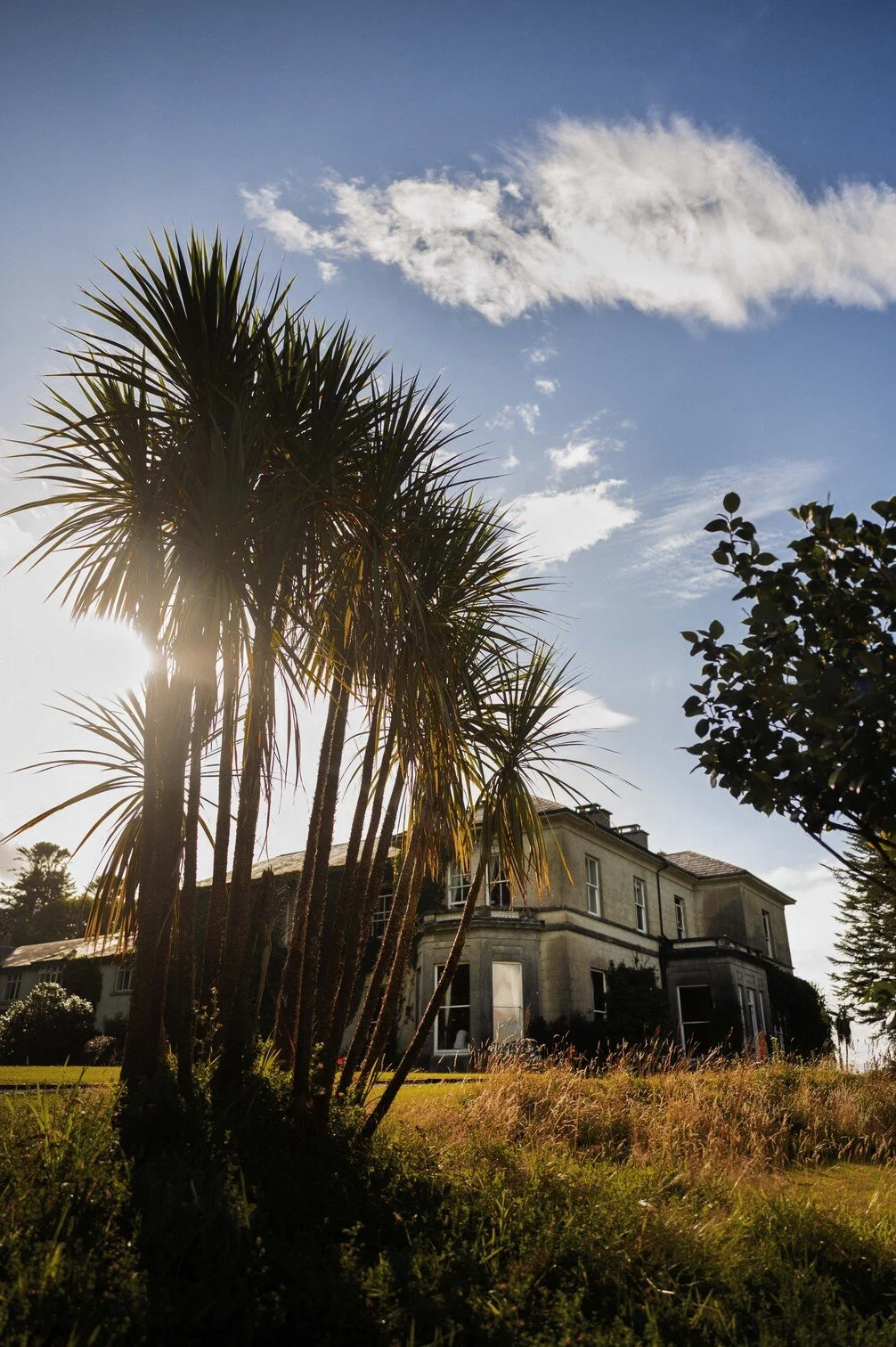 Een groot huis met een grasveld voor en palmbomen en bomen aan de zijkanten onder een blauwe lucht met enkele wolken gefotografeerd door Eric van den Elsen.