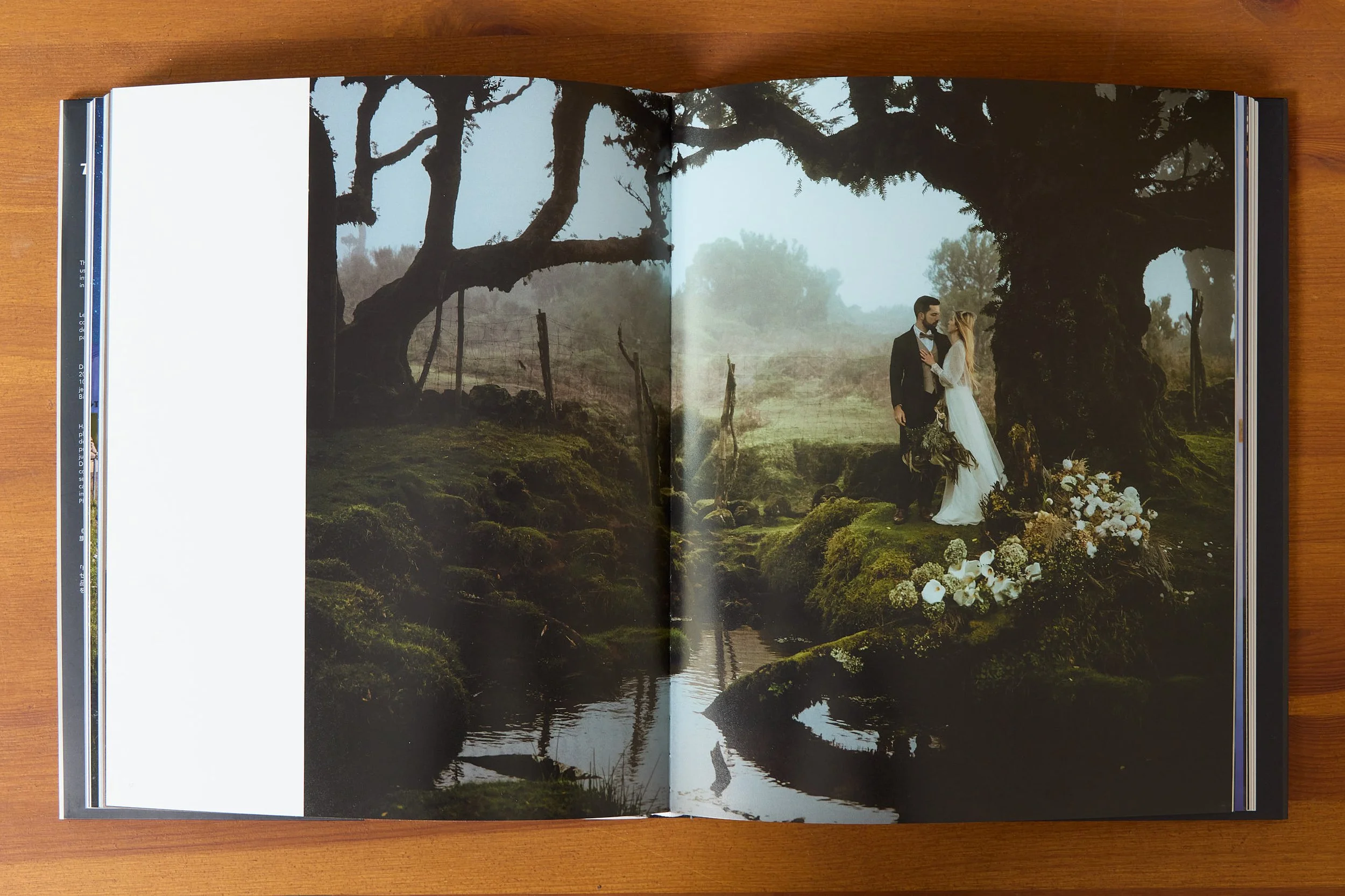 Hasselblad Masters Volume 7 Enlighten Book 00007.jpg