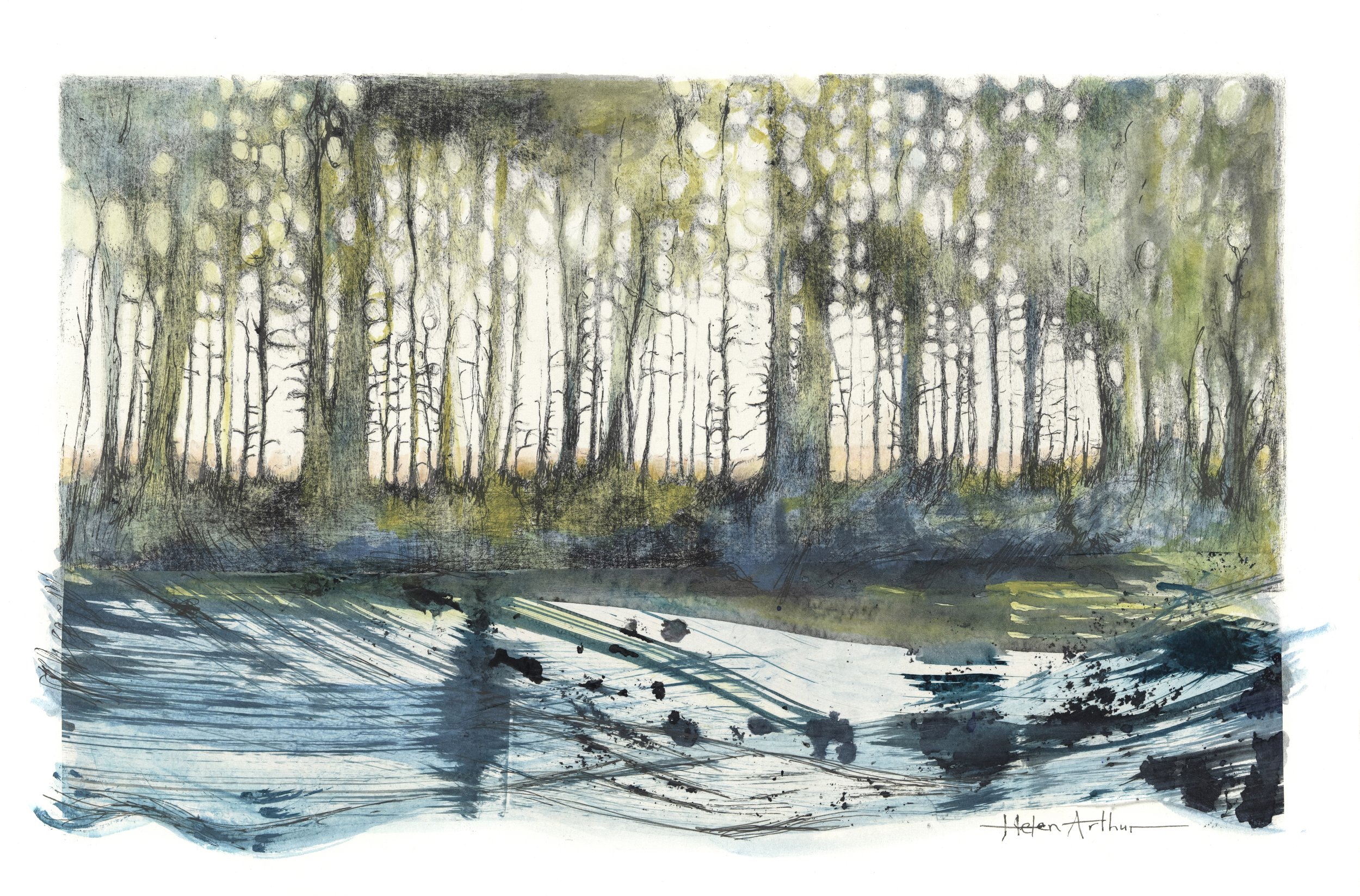 Helen Arthur - small for web The light flows from their branches giclee .jpg