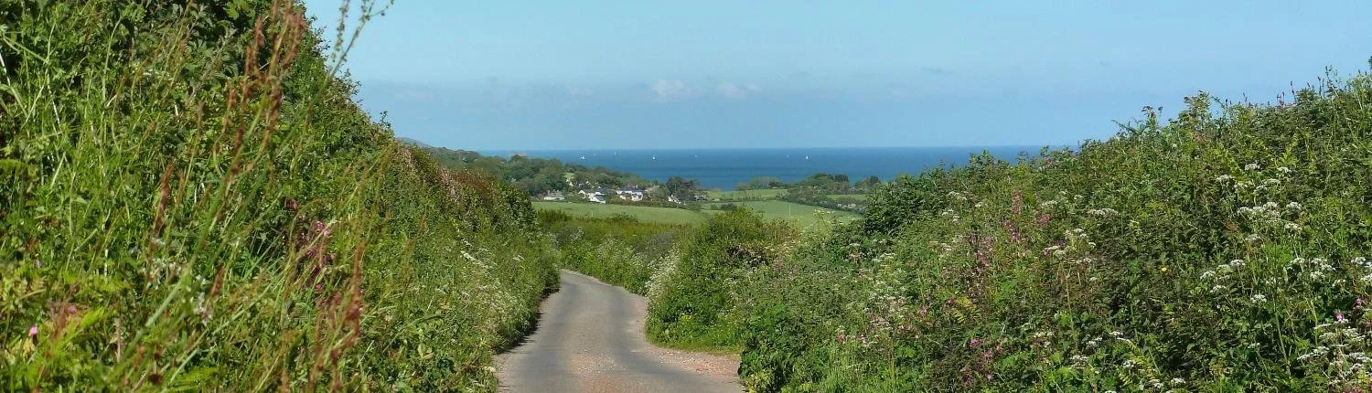 All about our Devon hedgerows