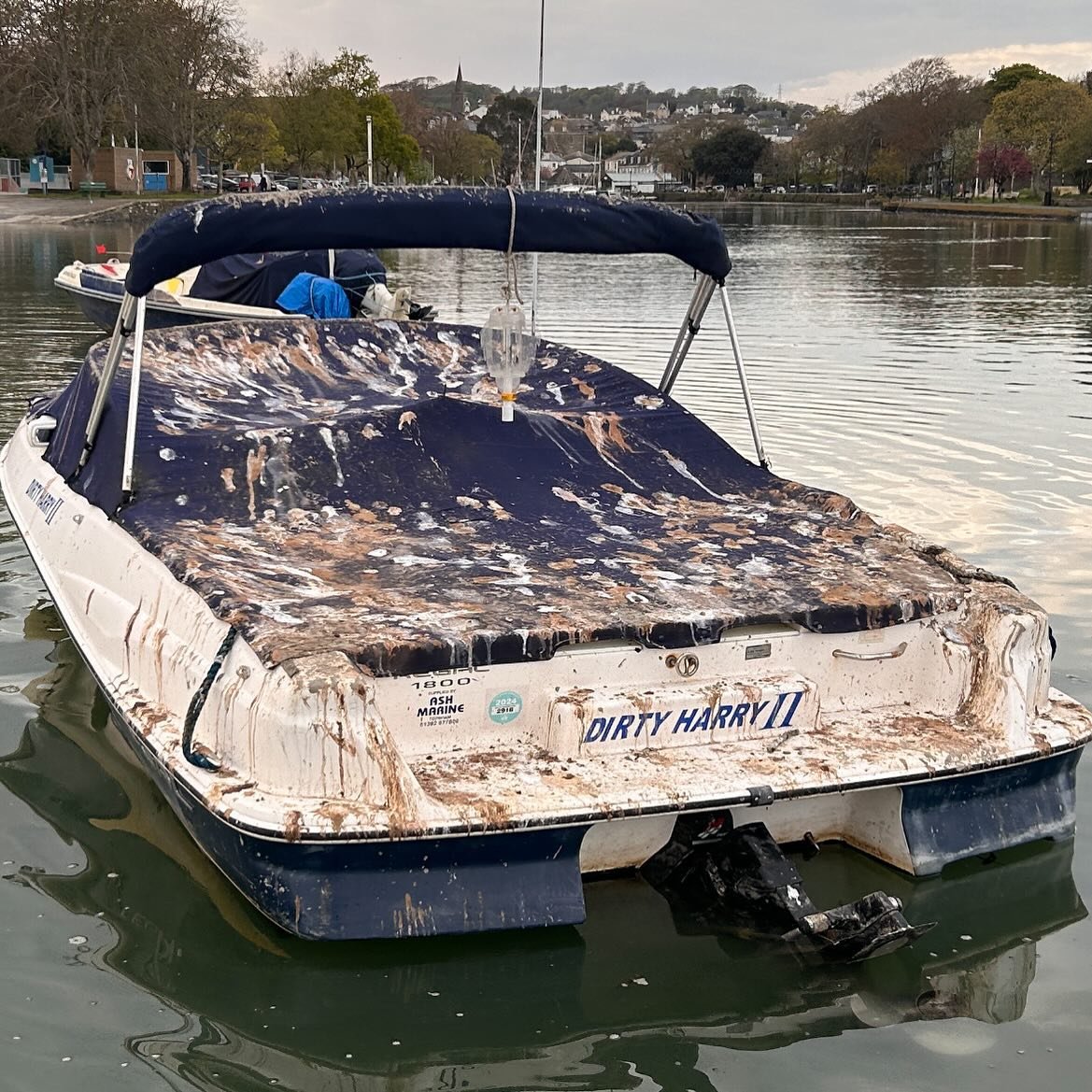 Not sure if the owner chose the name after the seagulls nominated his boat the village public poop house, but having been there myself it&rsquo;s very depressing to see this when paddling out to your mooring! Quite why these flying rats are so protec