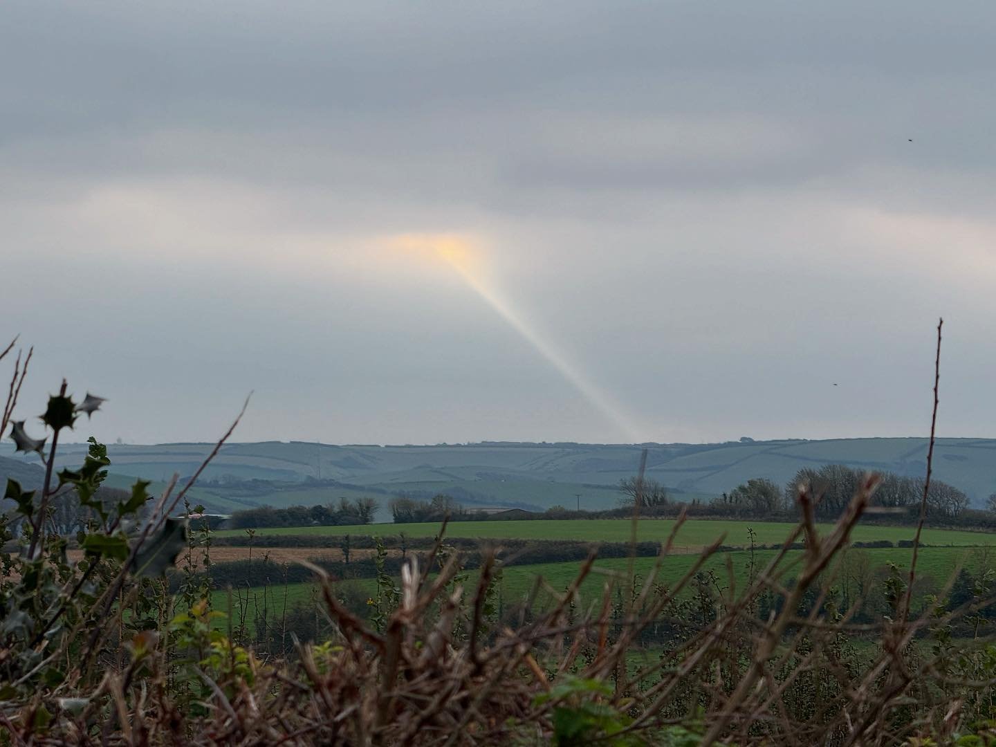 Think someone from East Prawle just got beamed up! 👽 

#aliens #devon #eastprawle #dogwalk #werenotalone #beammeupscotty #kingsbridge