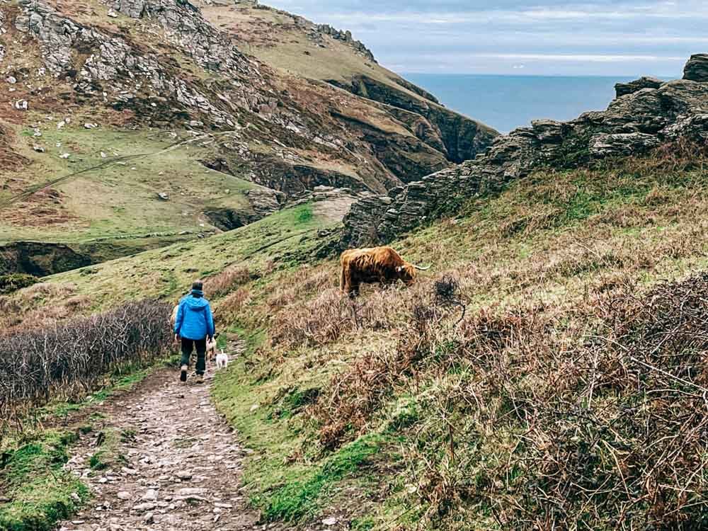 Walking Bolberry Coastal Path