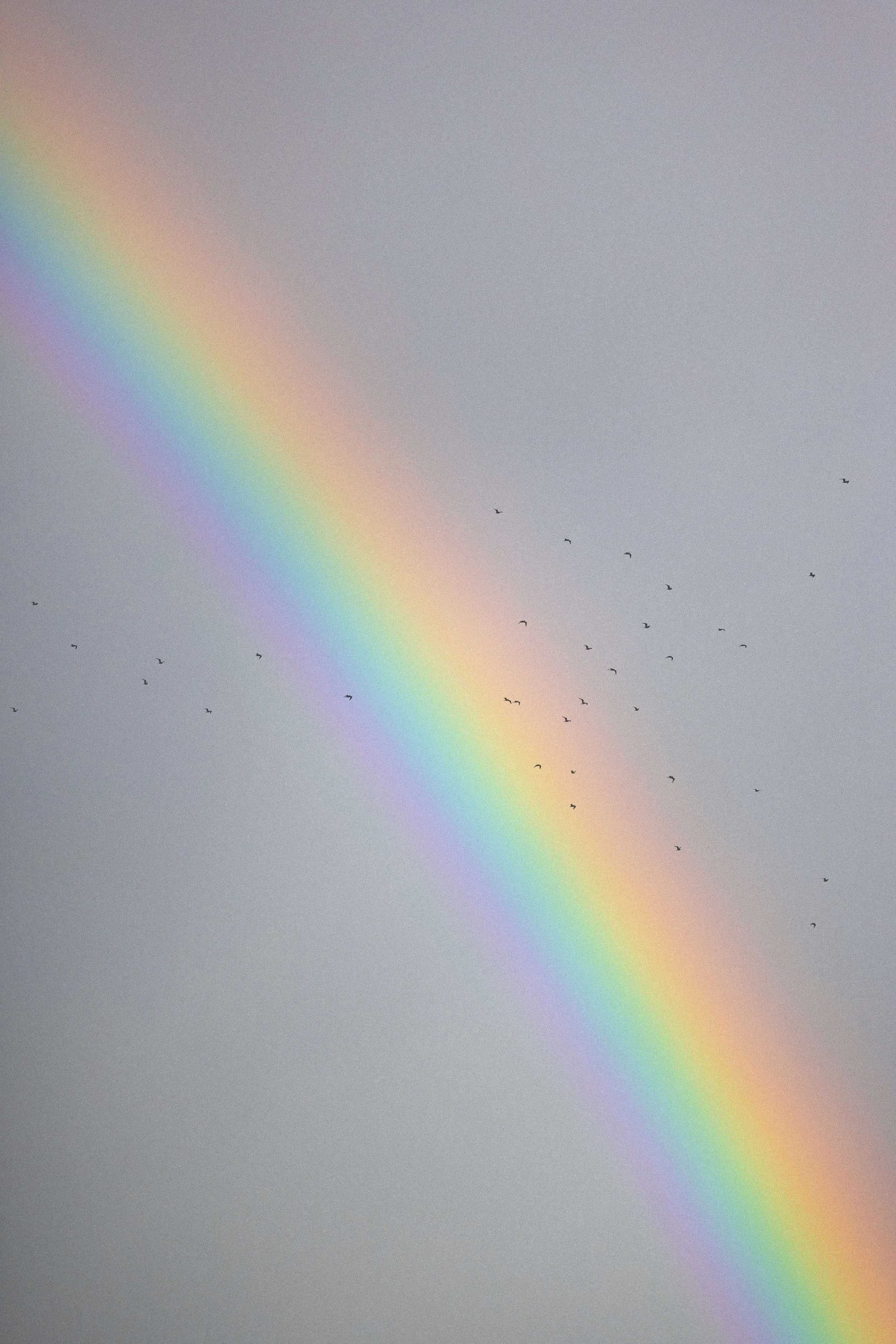 joshua-earle-Z0bJaj3DeEw-unsplash (1).jpg