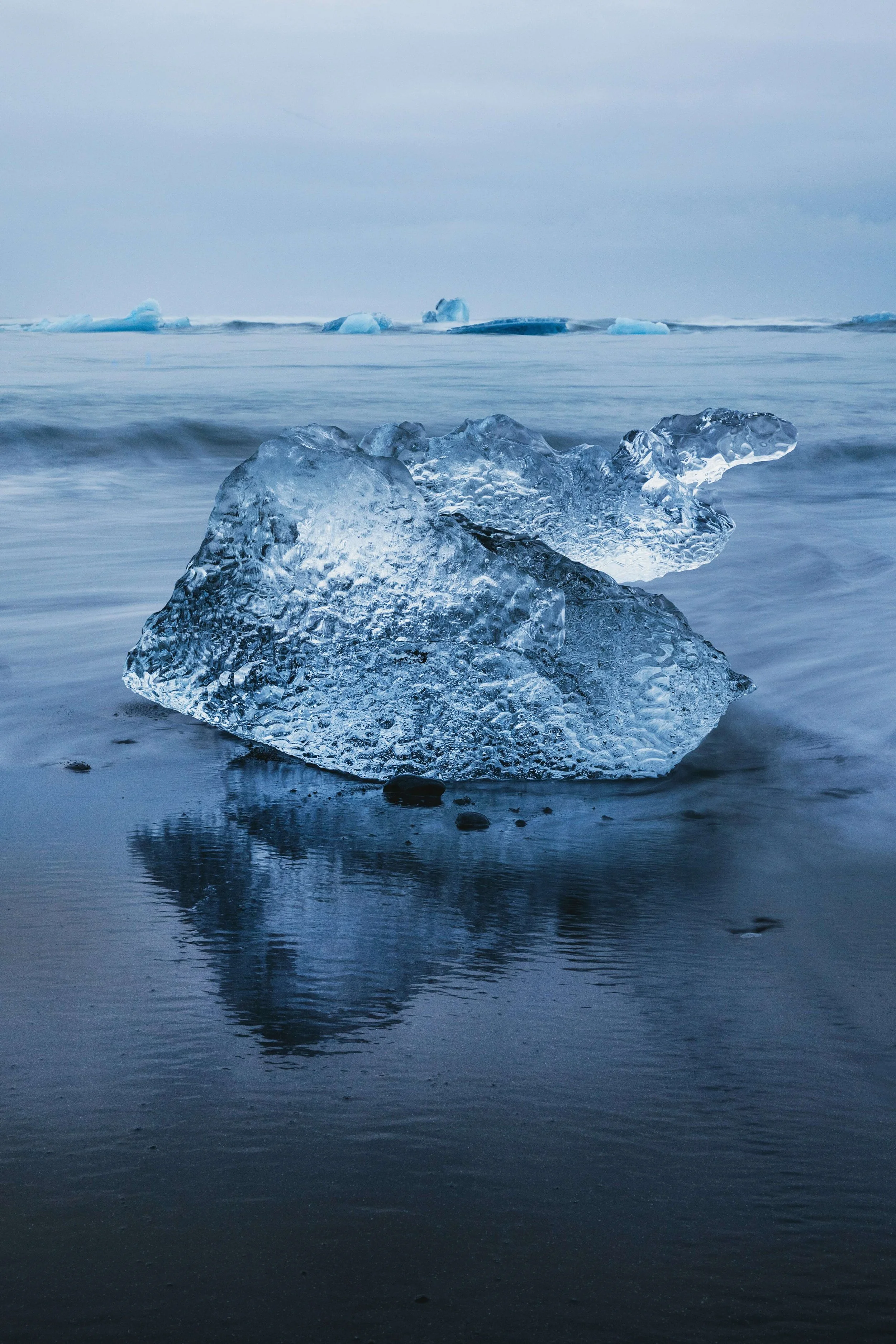 joshua-earle-dcPsuxrAy7E-unsplash (1).jpg