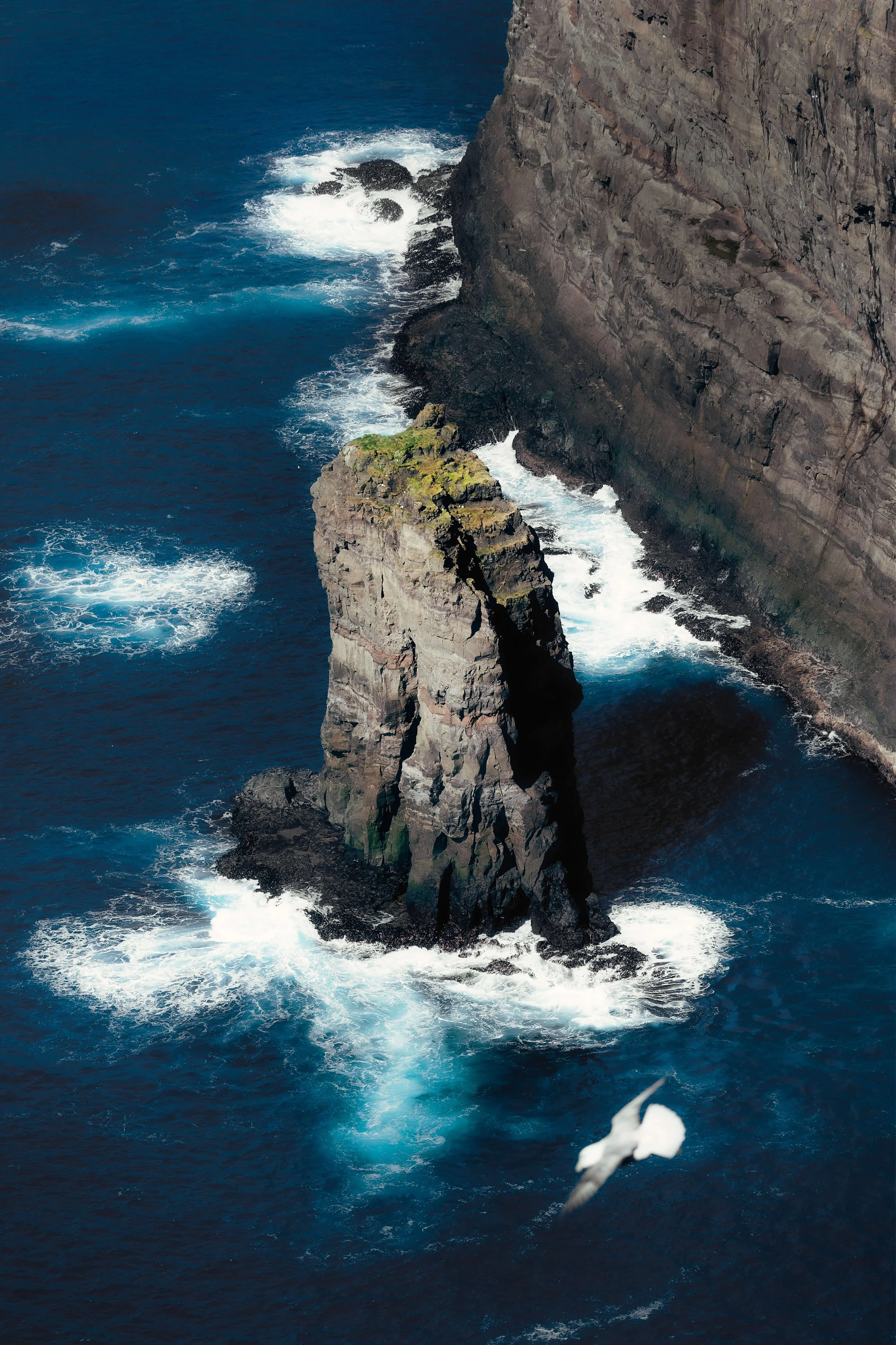 Web-IMG-Faroes-2 (1).jpg