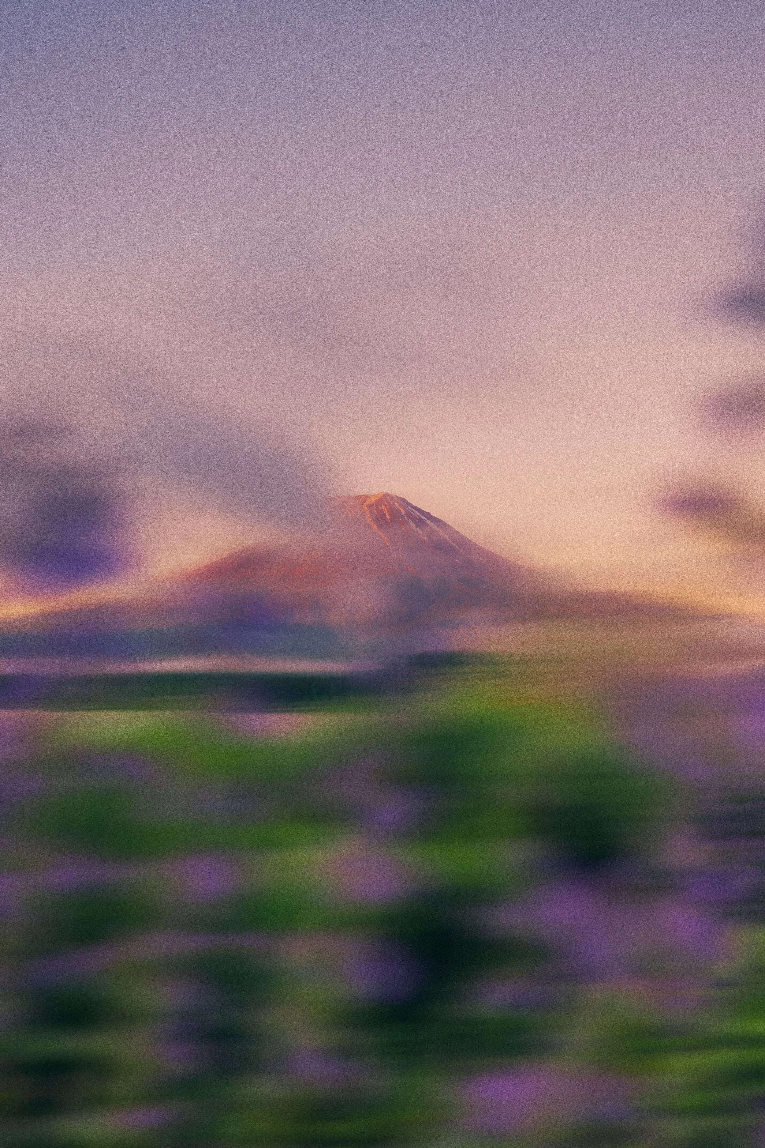 joshua-earle-NCEtfO6Z7sg-unsplash (1).jpg