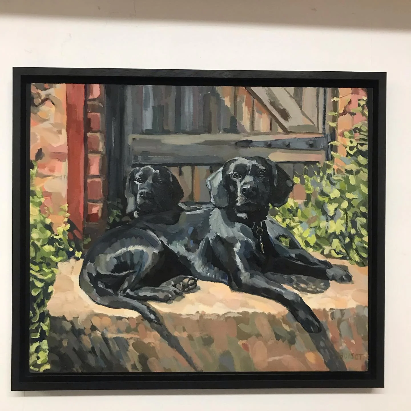 Painting on board framed with black tray frame. 
#dogpaintings #blacklabrador #trayframe #farnhamframing #farnhampictures 
Redkite picture framing is based in Farnham, Surrey. Canvas, boards, prints, photos &amp; everything else you would like on you