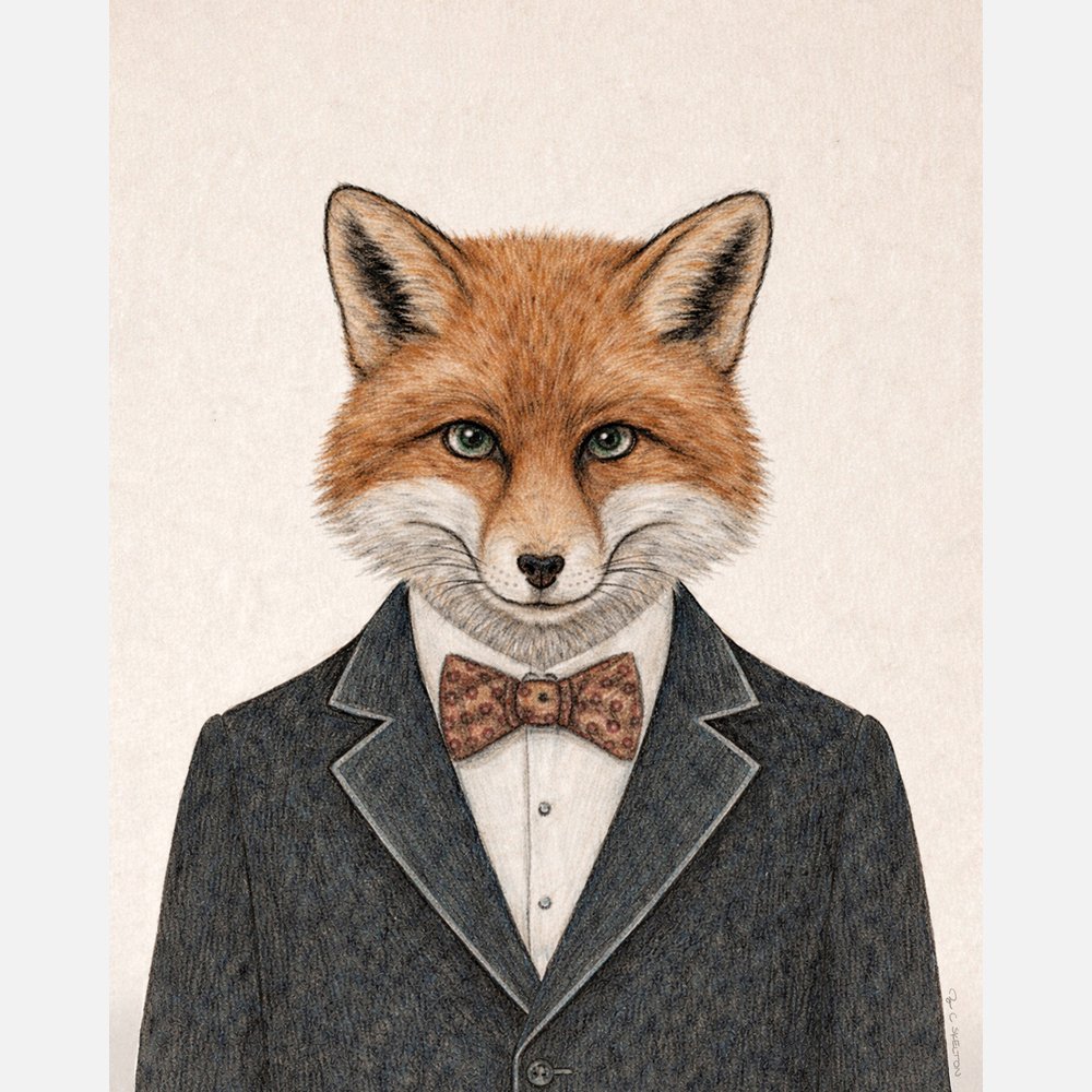 fox suit website.jpg