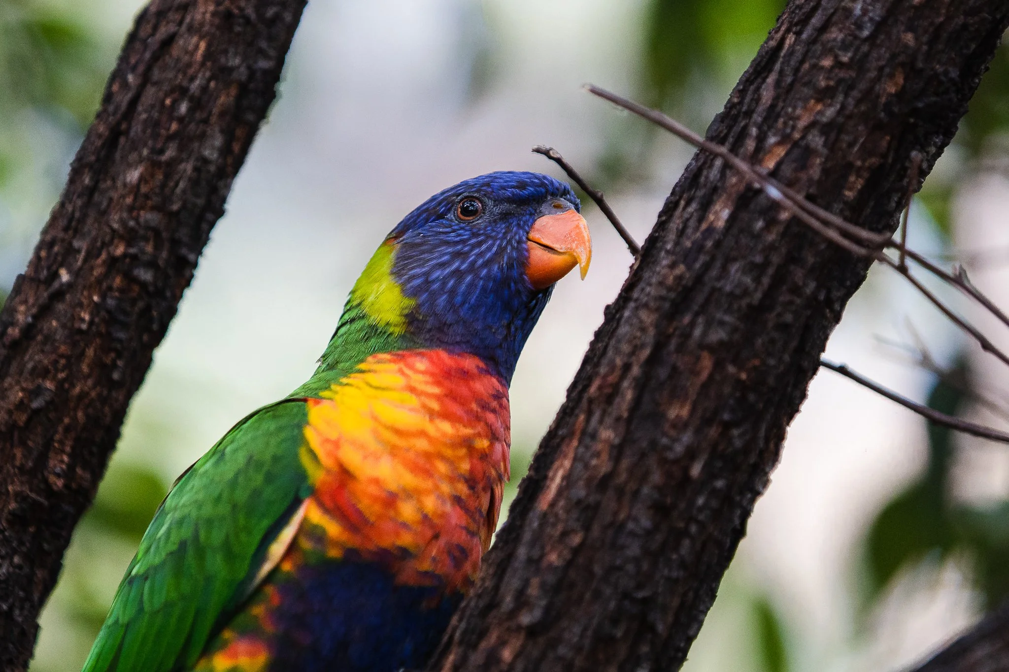 091A9793.jpg