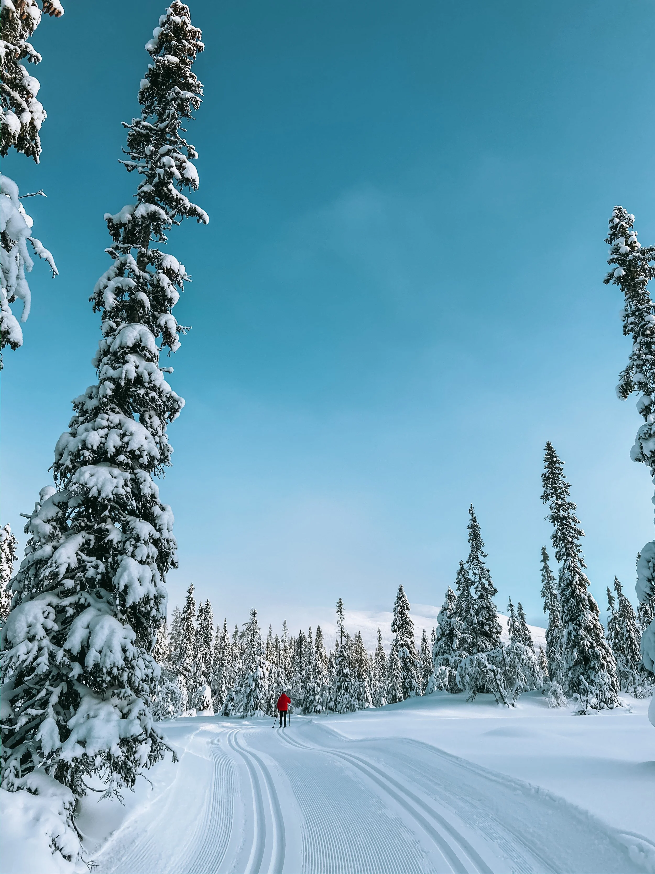 Eventyrløypa kan du gå helt fra Turufjell til Hemsedal.jpeg