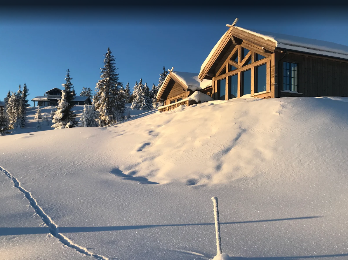 Skjermbilde 2025-11-17 104246.png