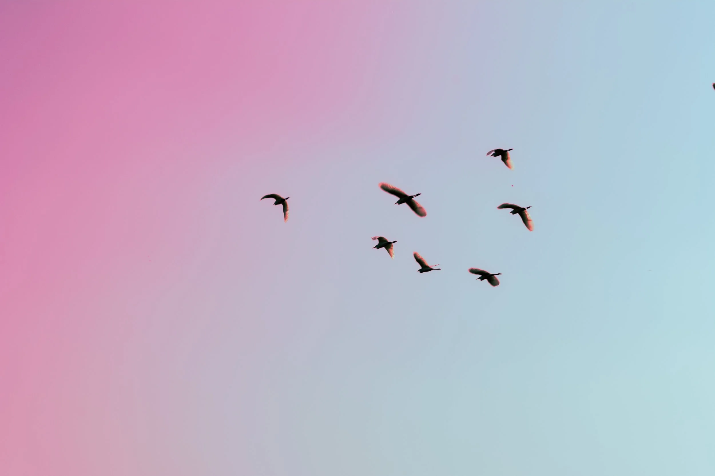 Elements Practice: Fred Again.. (30 min)