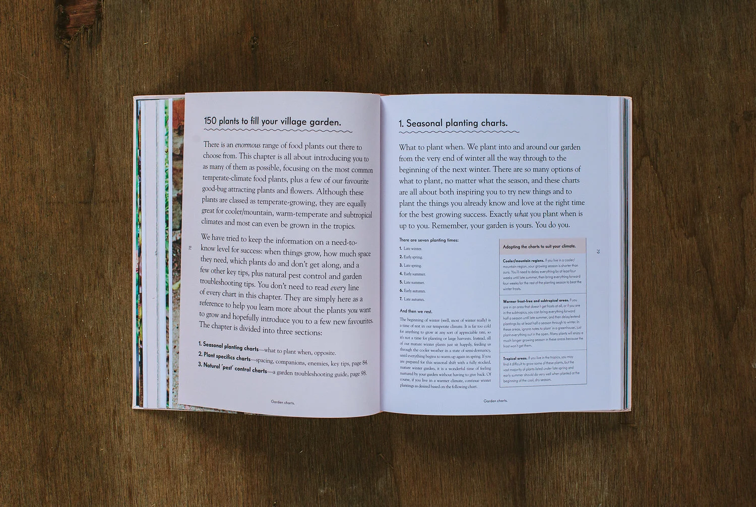 image-asset (1).jpeg