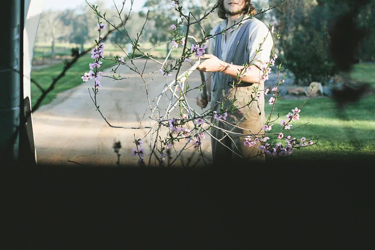 Wona: Loose leaf store