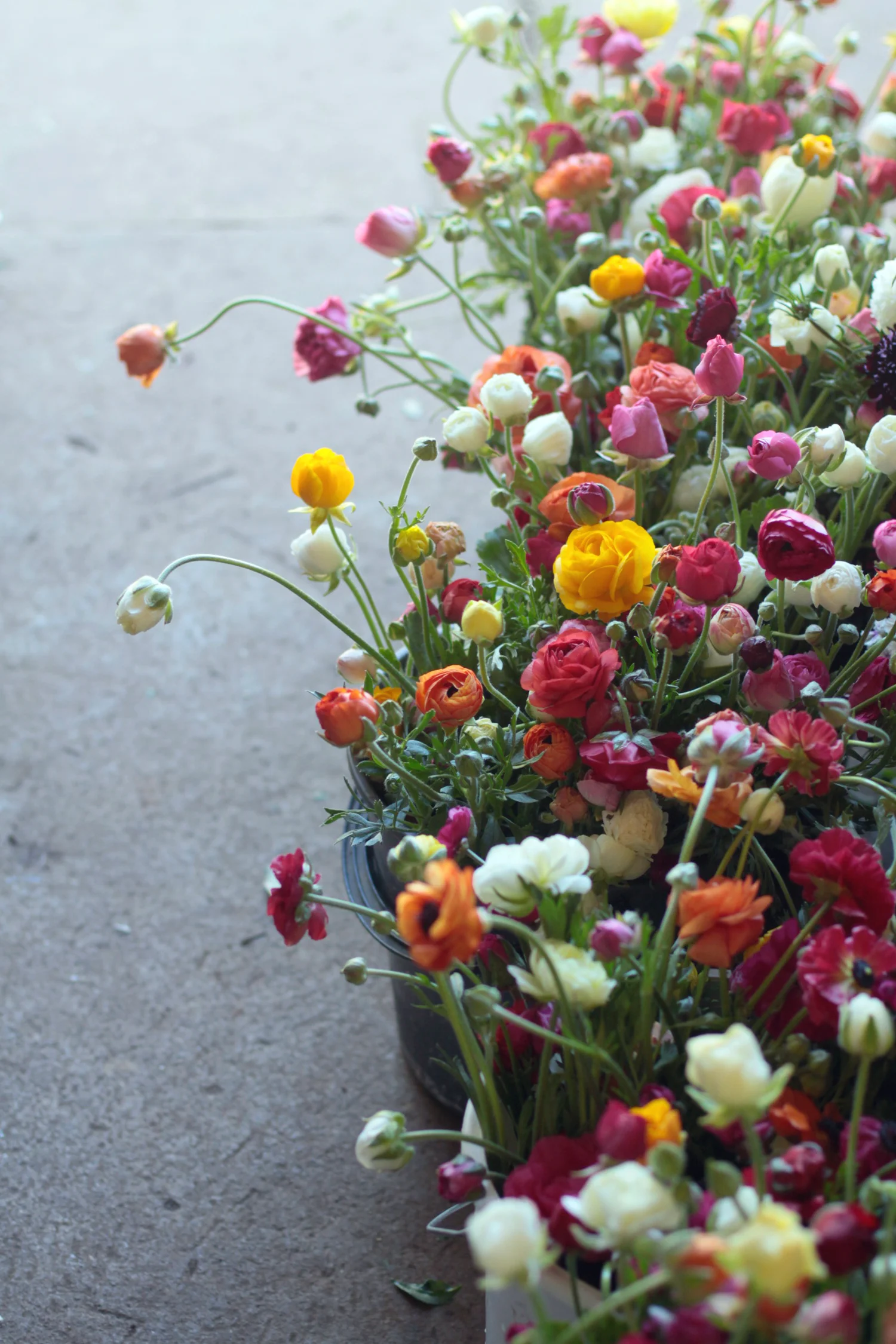 Juleiaah: Singing teacher 