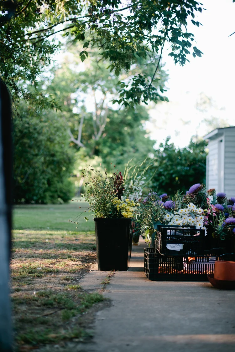 Amy: Auction rooms cafe