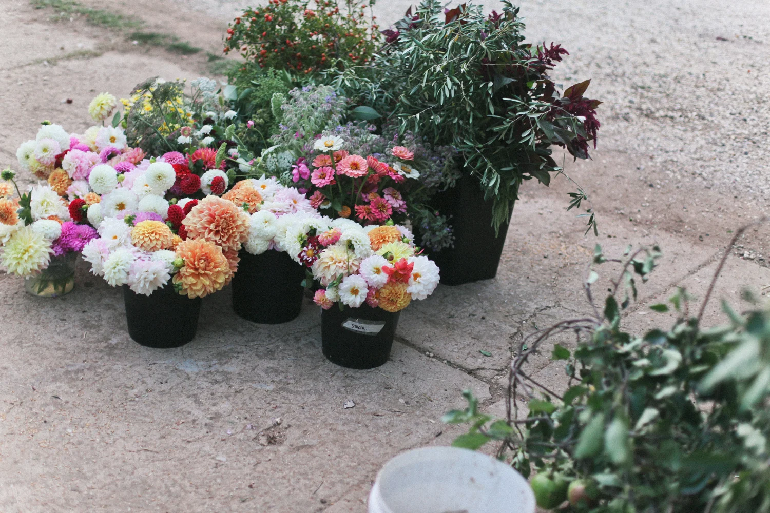 Stacia & chris: Got married