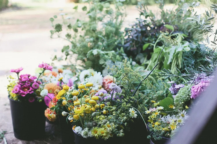 Erin & dave: Got married