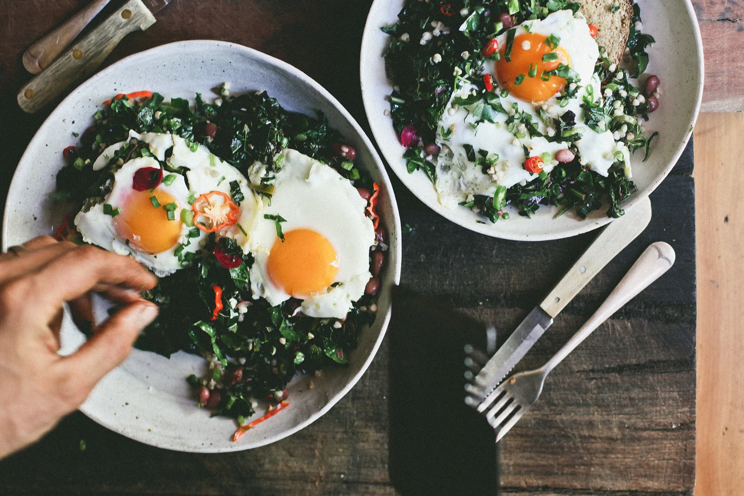 Autumn wild breakfast greens