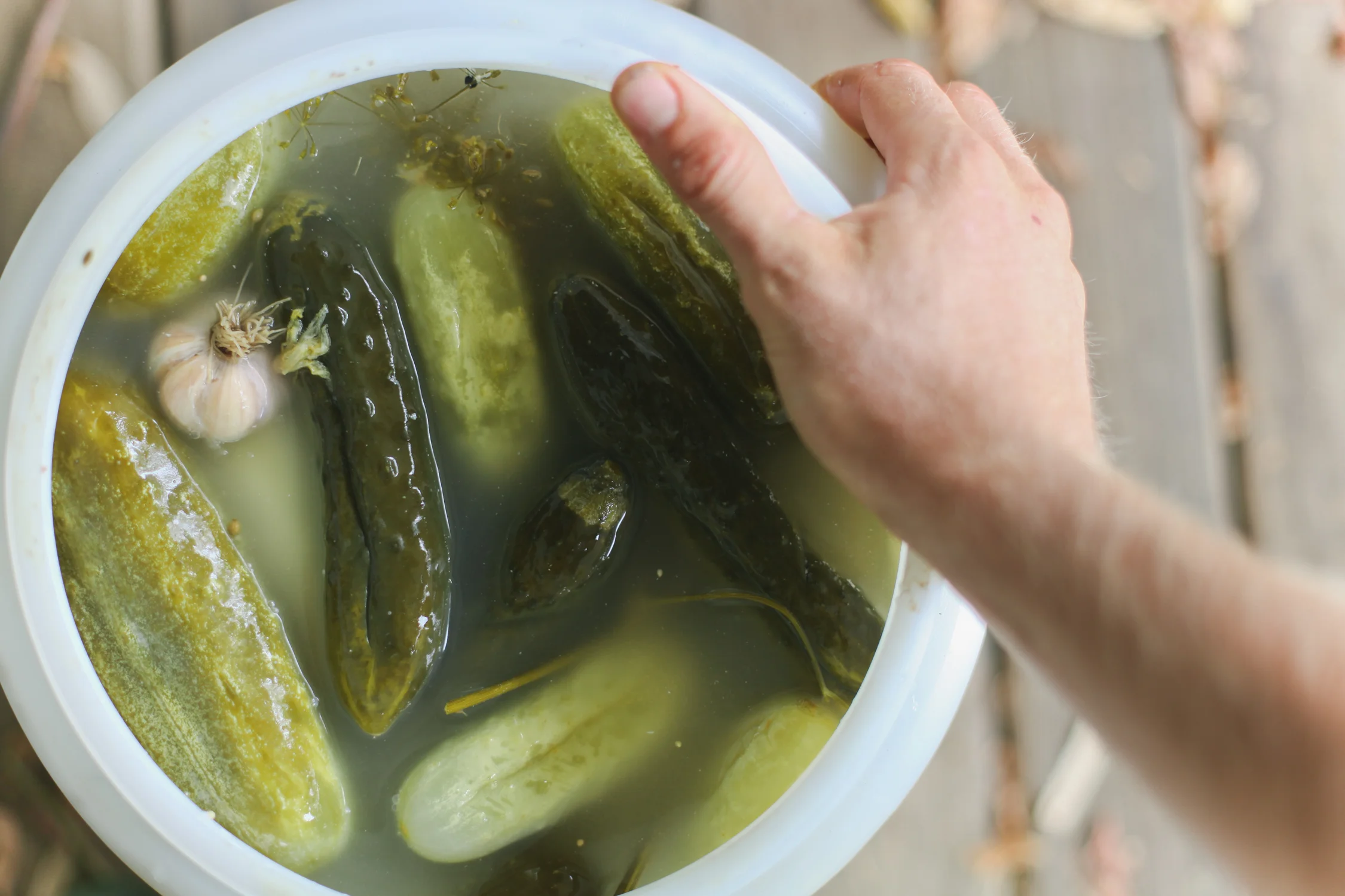 The ultimate dill pickle
