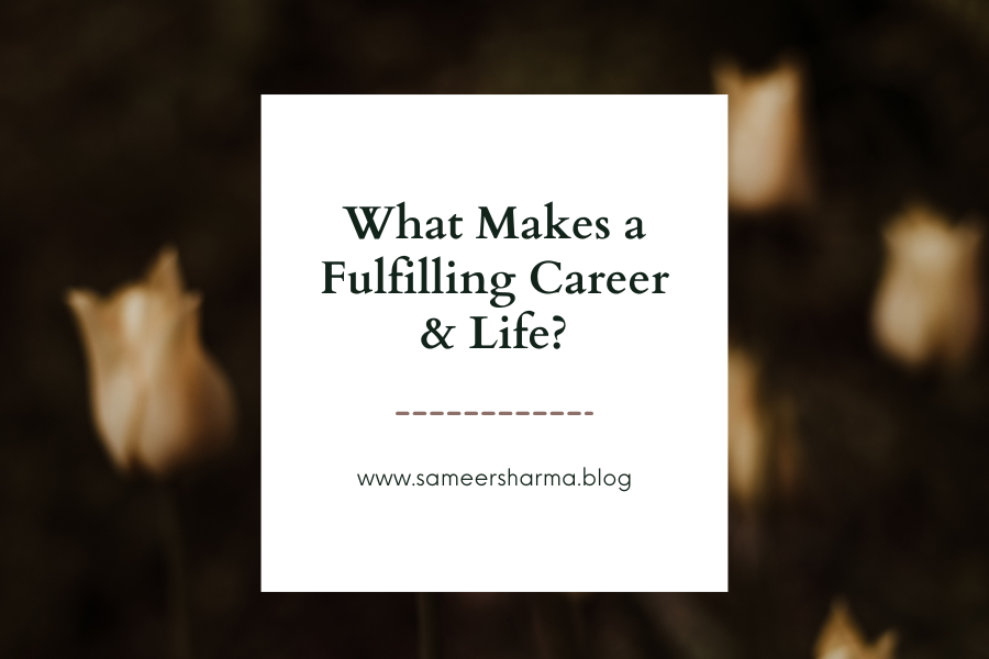What Makes a Fulfilling Career &amp; Life?