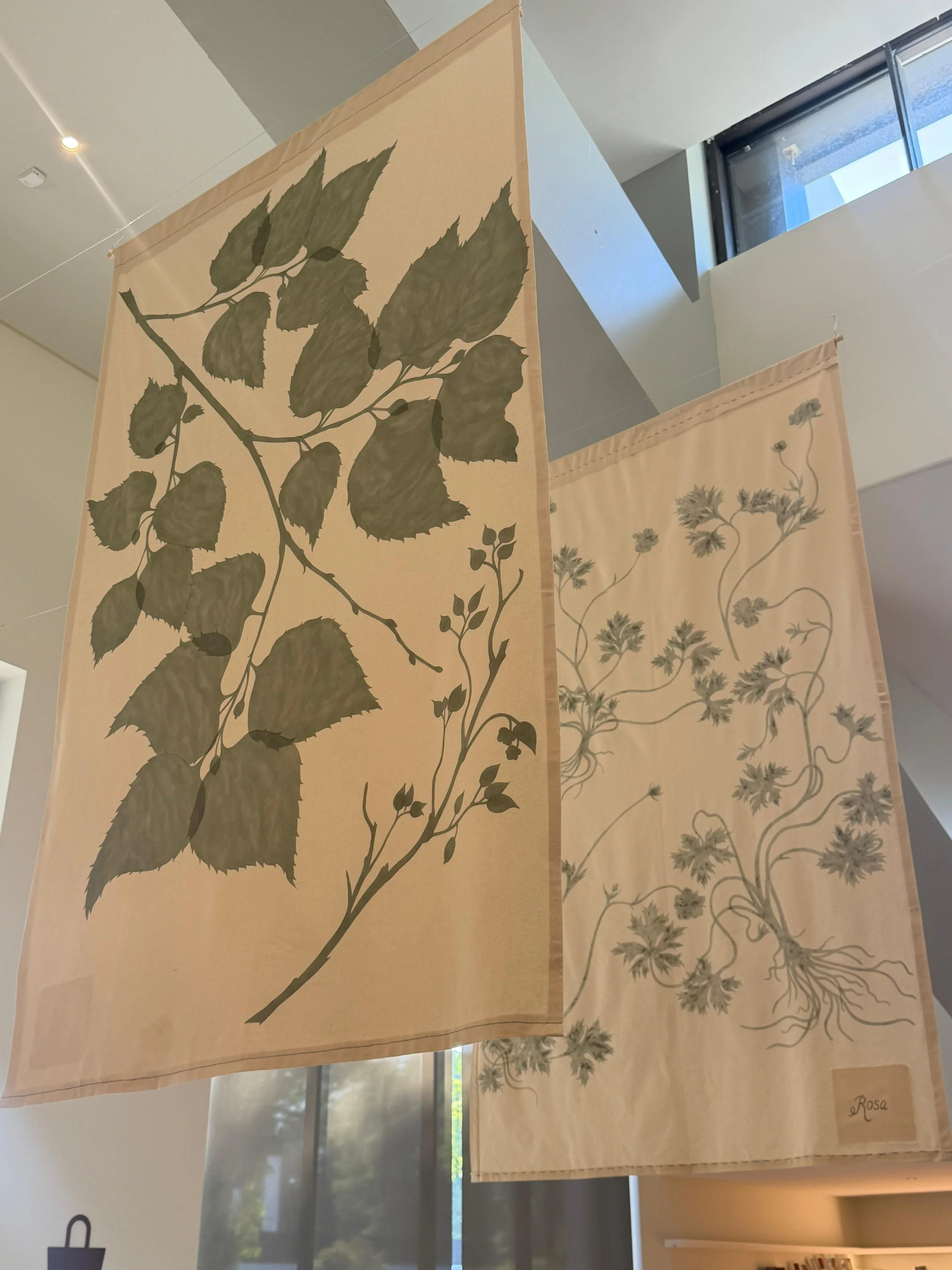 CAM_Gulbenkian_WeronikaAnnaRosa2.jpg