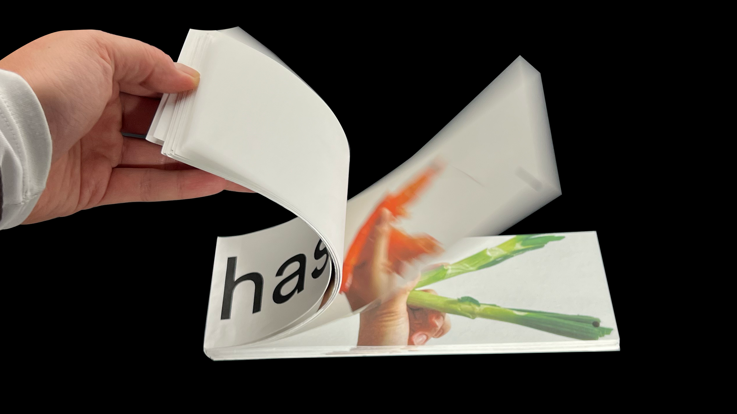 flipbook2.png