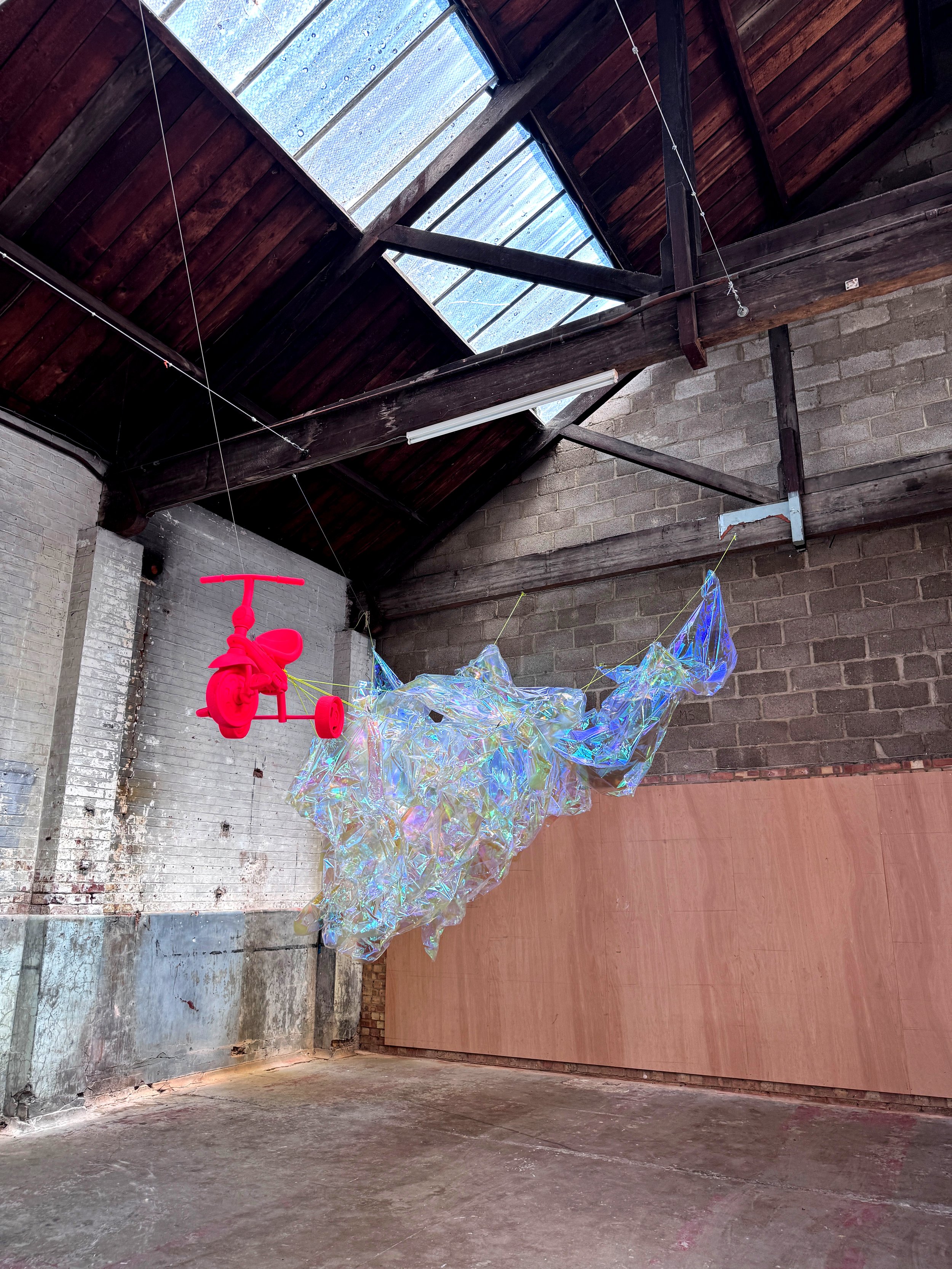 'Tethered Flight' 2025 q.jpg