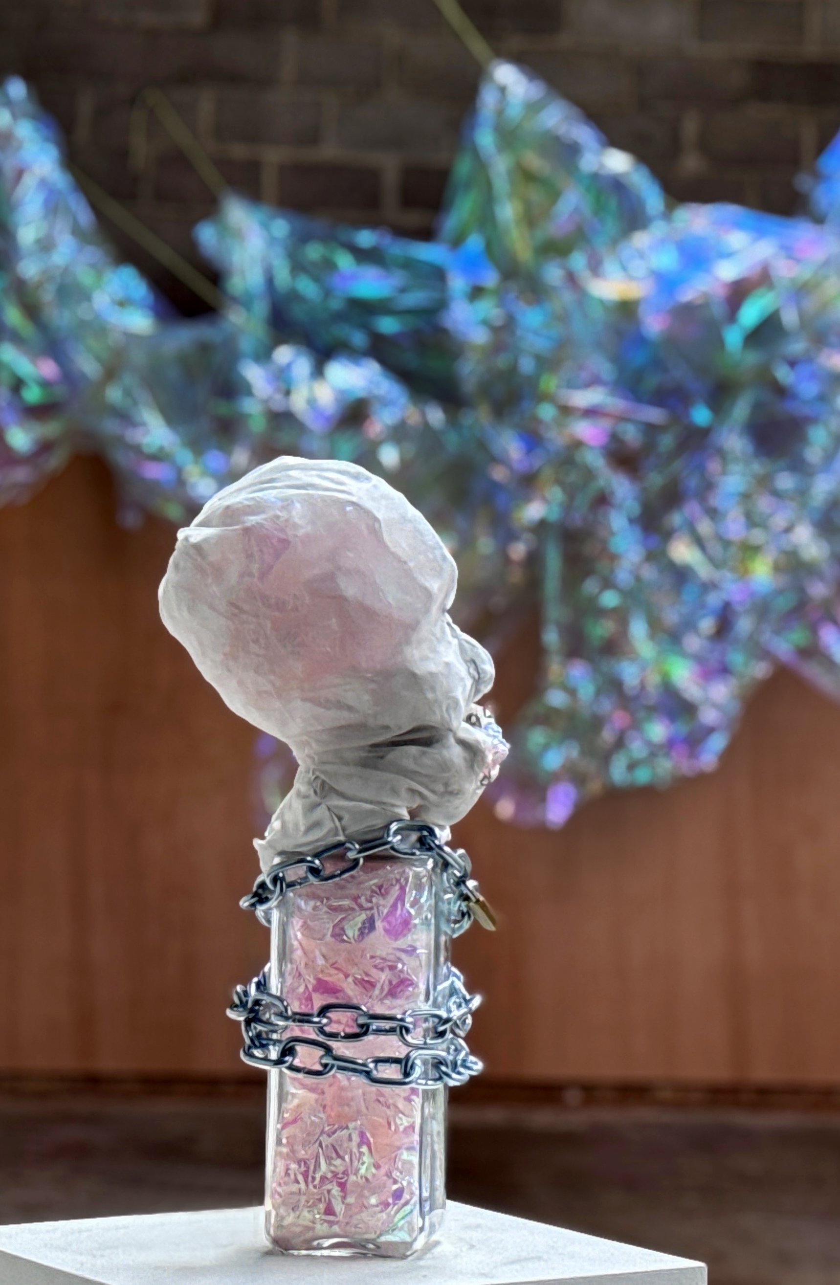 head with tethered flight.jpg