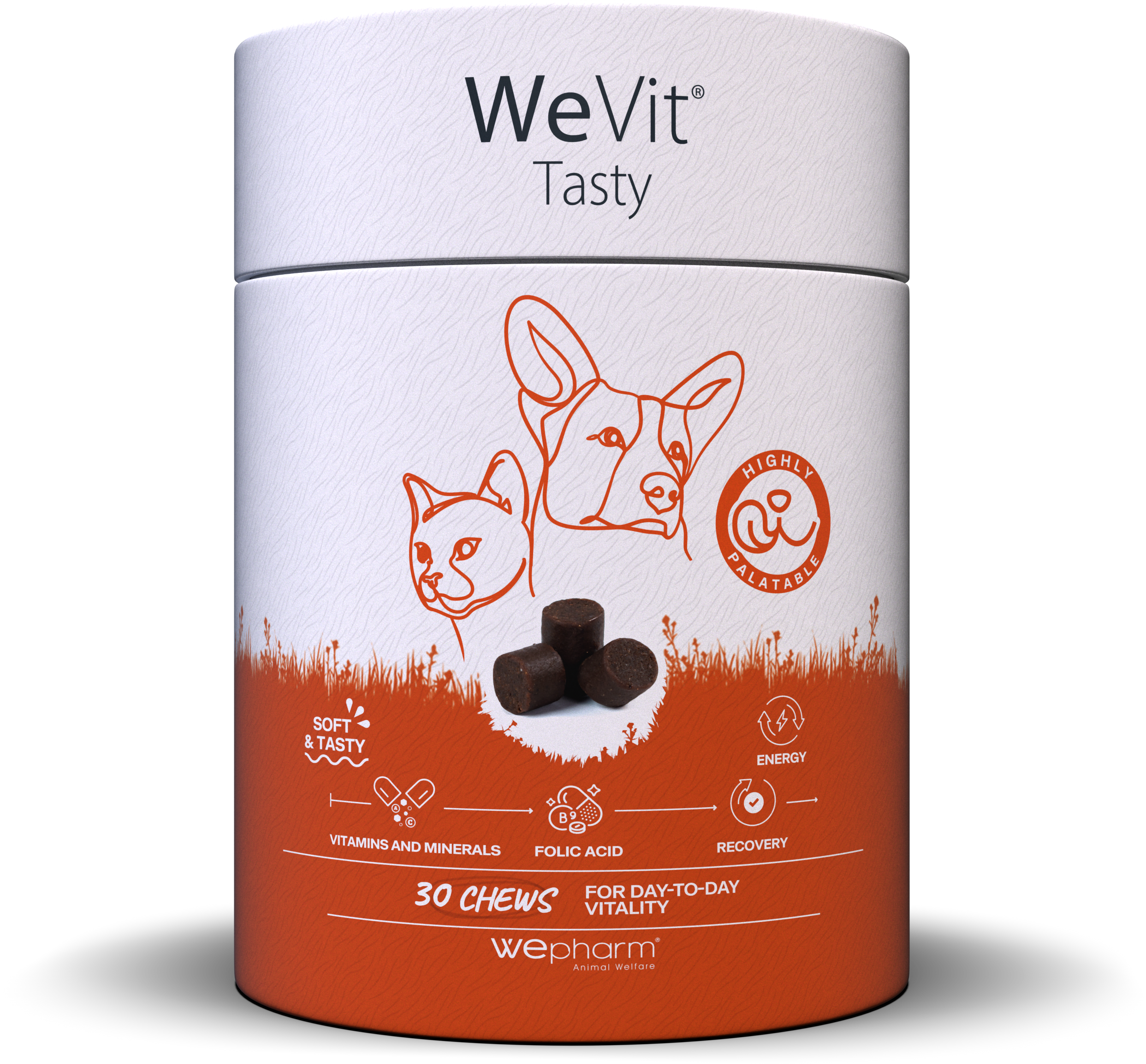 Aliment complémentaire pour chate t chien  sous forme de chews appétantes riche en calories, en vitamines essentielles et en minéraux, booster- WeVit