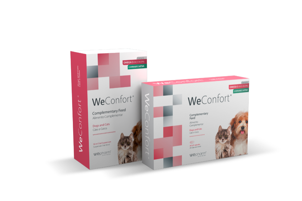 WeConfort- confort et bien-être