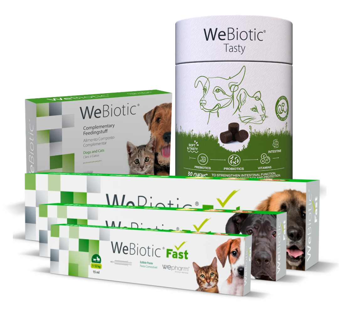 Aliment complémentaire pour le chat et le chien pour la fonction intestinale - WeBiotic
