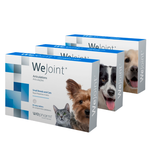 WeJoint - Soutien des fonctions locomotrices
