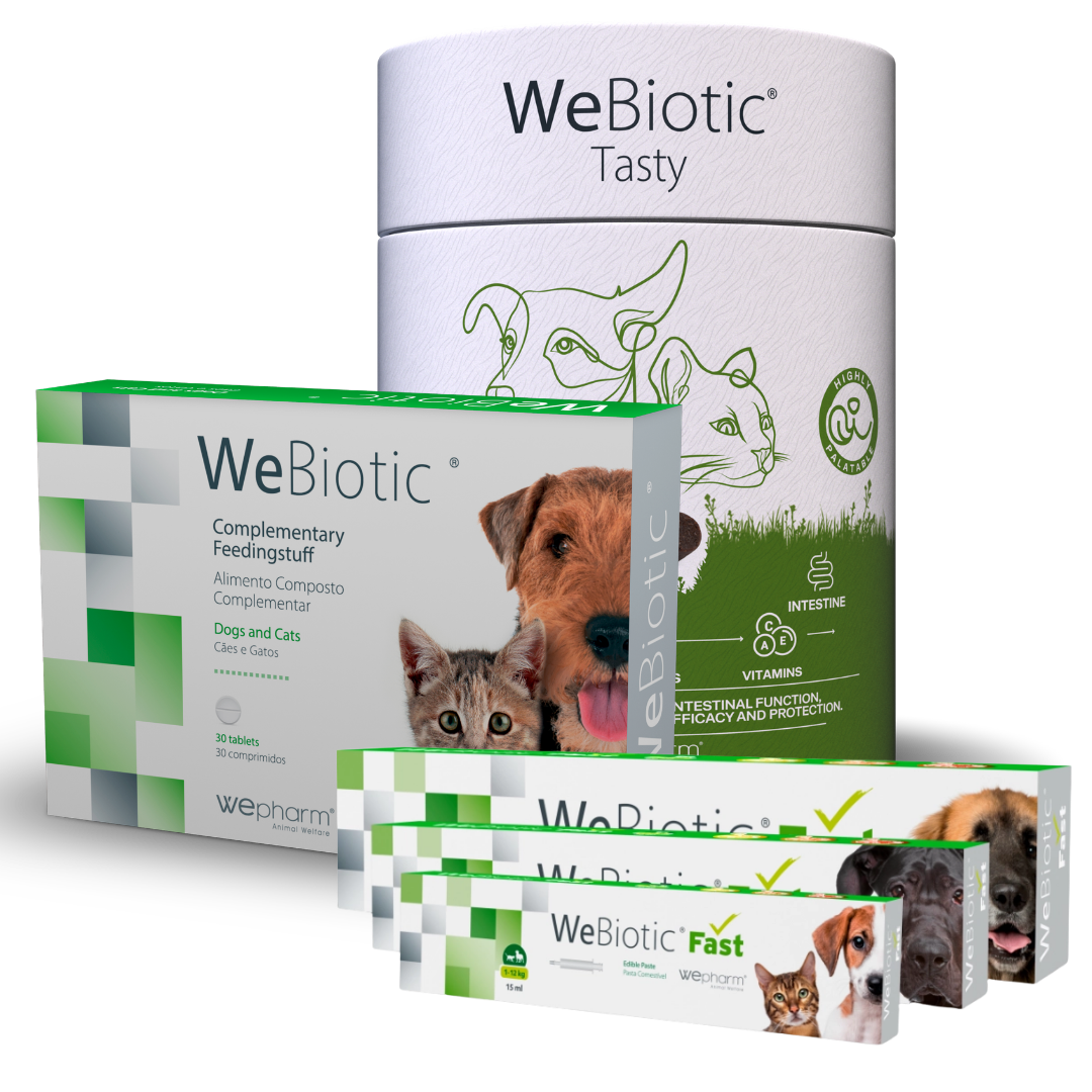 WeBiotic - Fonction intestinale