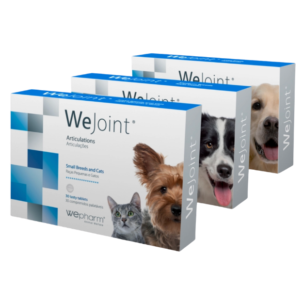 WeJoint - Soutien des fonctions locomotrices