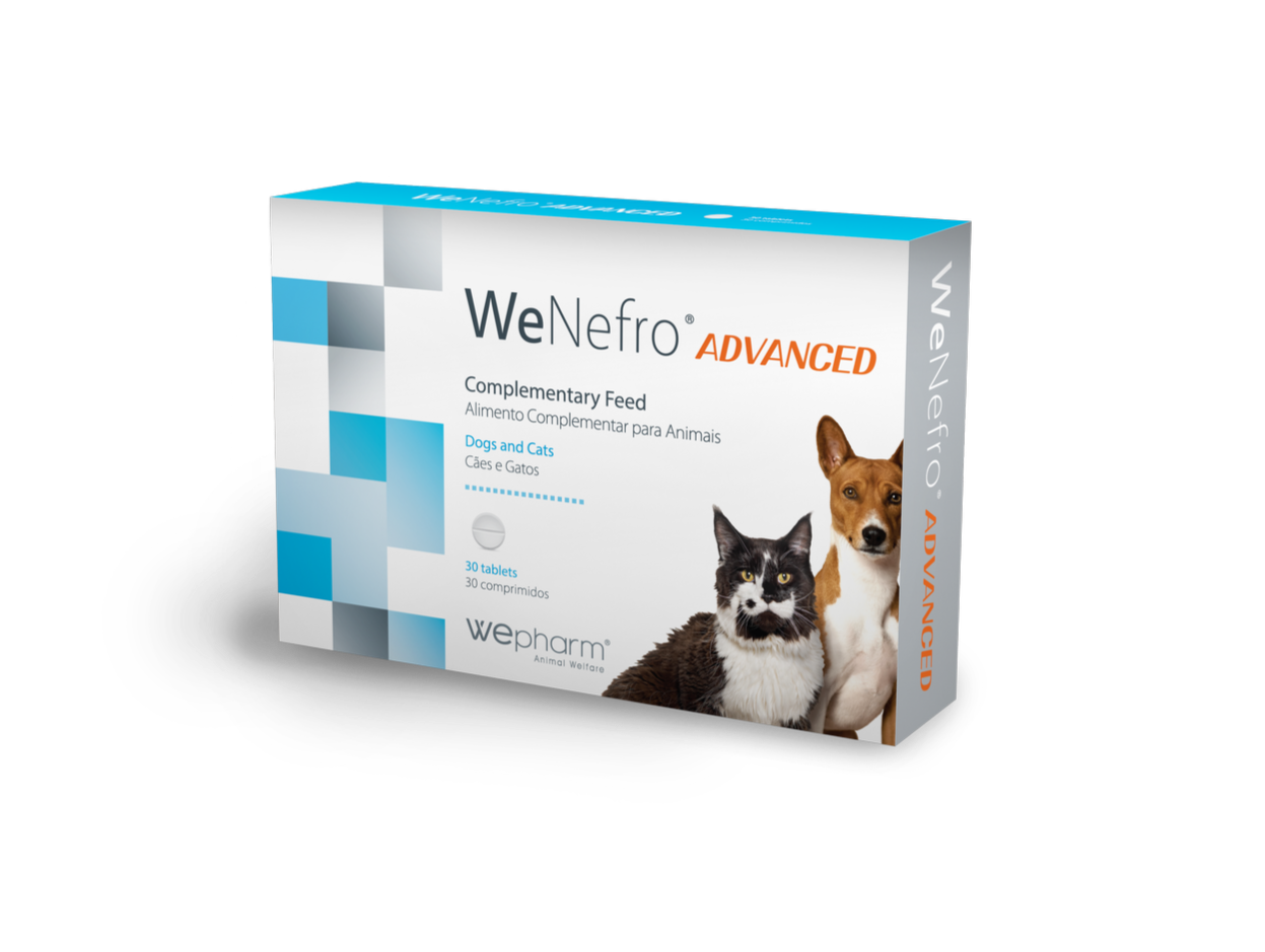 WeNefro Advanced 30 Tabs. Soutien multimodal avancé de la fonction rénale