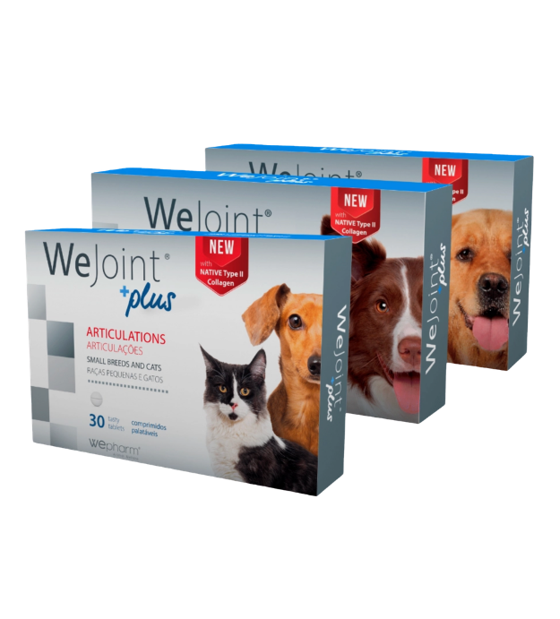 WeJoint Plus - Soutien complet des articulations